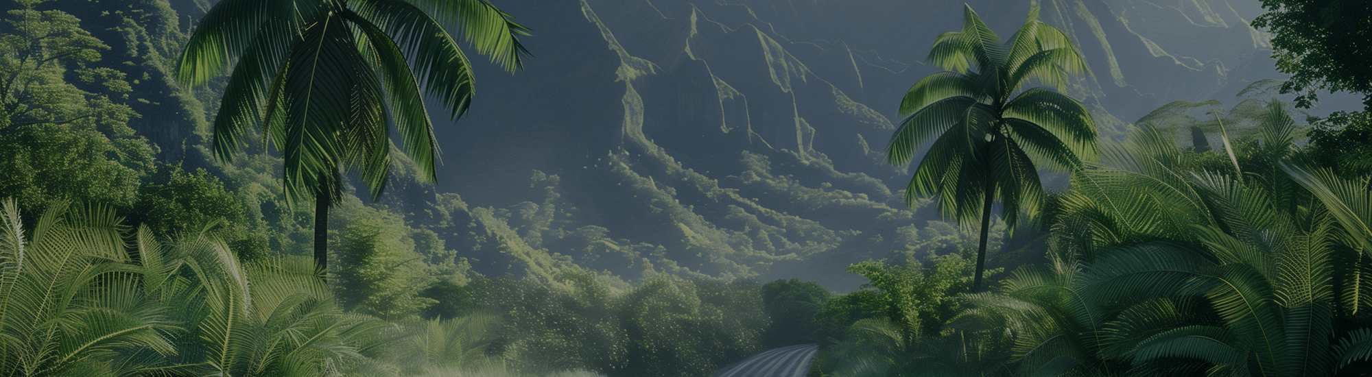 Nouvelle agence à la Réunion !