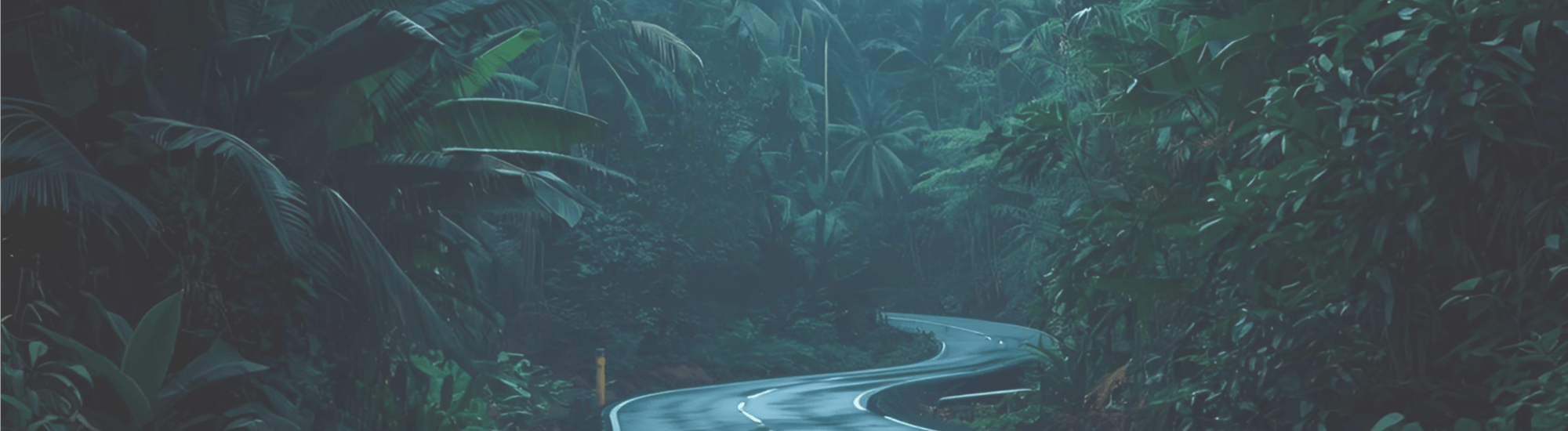 Nouvelle agence en Guyane